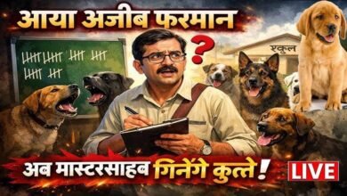 img 20260108 wa0006 - Image generated by AI for representational purposes.