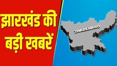 img 20260112 wa0018 - Image generated by AI for representational purposes.