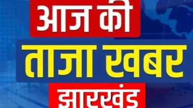 img 20260116 wa0007 - Image generated by AI for representational purposes.