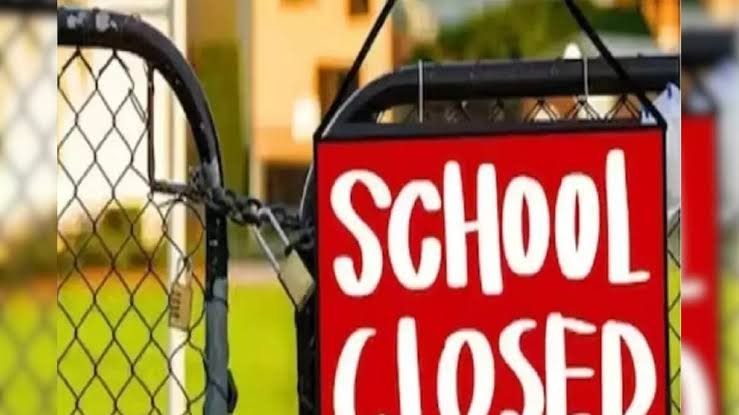 images - Image generated by AI for representational purposes.