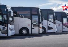 bus