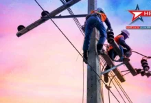 bijali electriction