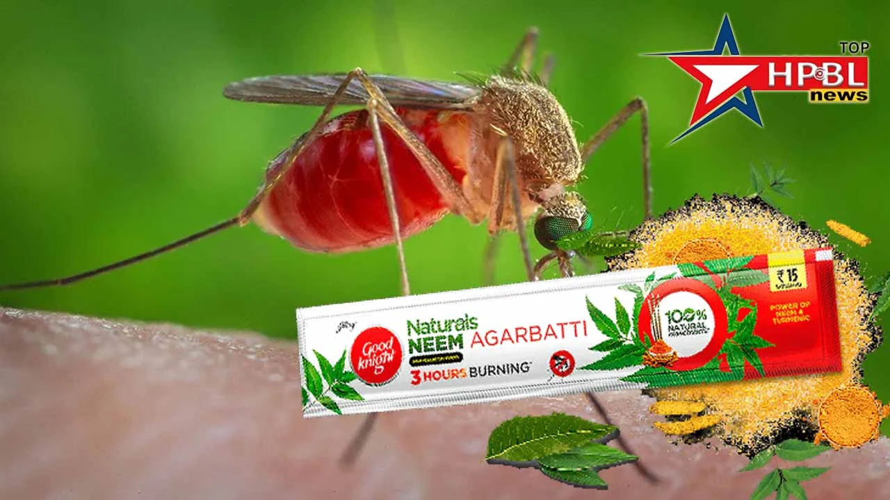 machchar mosquito