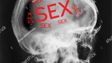stock photo x ray of head isolated with word sex inside 689494732 (1)