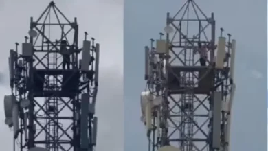 Tower