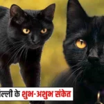 काली बिल्ली का रास्ता काटना शुभ या अशुभ? सपने में दिखने से लेकर घर में आने तक, जानें क्या कहता है विज्ञान