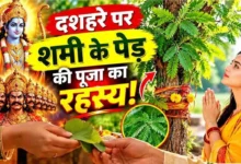Dussehra 2026, विजयादशमी, शमी पूजा, पांडव, आपटा के पत्ते, शस्त्र पूजन, हिंदू परंपरा