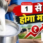 दूध 8 रुपये प्रति लीटर महंगा : दिपावली के पहले लगा महंगाई का बड़ा झटका, कैबिनेट ने 8 रुपये प्रति लीटर दूध किया महंगा, जानिये इस राज्य में कितनी बढ़ गयी कीमतें