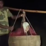 सड़क नहीं तो सहारा ही सही! रात के अंधेरे में  गर्भवती को दउरी में बैठाकर मुख्य सड़क तक लाए ग्रामीण, गुमला में बदहाल सड़क ने खोली व्यवस्था की पोल