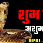 Shakun Shastra: रास्ते में सांप दिखना शुभ या अशुभ? जानिए दाईं-बाईं तरफ दिखने से जुड़ी मान्यताएं, जिंदा व मृत सांप देखना भी देता है खास संकेत