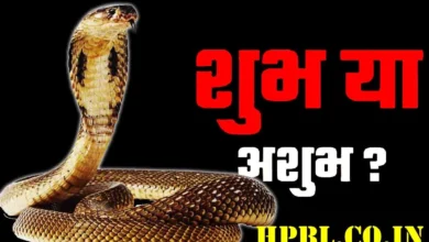 रास्ते में सांप दिखने से जुड़ी शकुन शास्त्र की मान्यताएं