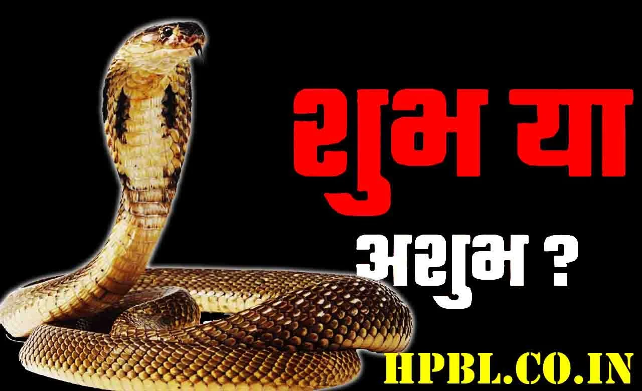 रास्ते में सांप दिखने से जुड़ी शकुन शास्त्र की मान्यताएं